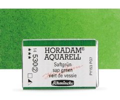 Schmincke Horadam Aquarell Tam Tablet Sap Green 530 S.2 Sulu Boya