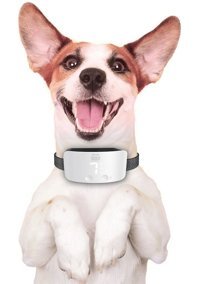 Alithestereo Ayarlanabilir Eğitim Tasması Köpek Tasması Beyaz