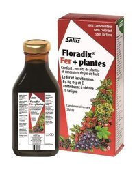 Floradix Demir Ve Vitamin Bitki Ekstralar Yetişkin Vitamin 250 ml