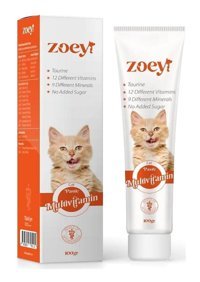 Zoey C Vitamini E Vitamini Multivitamini Bağışıklık Güçlendirici Yetişkin Kedi Vitamini Macun 100 gr