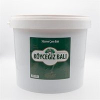 Köyceğiz Kova Çam Balı 20 kg