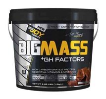 Powertech Masstech Mass Gainer Çilek Aromalı 8 Servis Kilo Aldırıcı Gainer 1.5 kg Toz