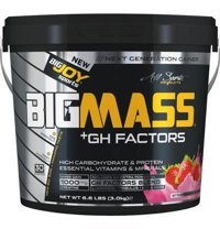 Bigjoy Bigmass +Gh Factors Çilek Aromalı 30 Servis Kilo Aldırıcı Karbonhidrat 3000 gr Toz