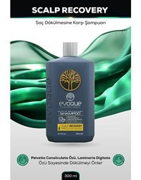 Evoque Scalp Recovery Saç Dökülmesine Karşı Düz Saçlar İçin Kremsiz Şampuan Unisex Şampuanı 300 ml