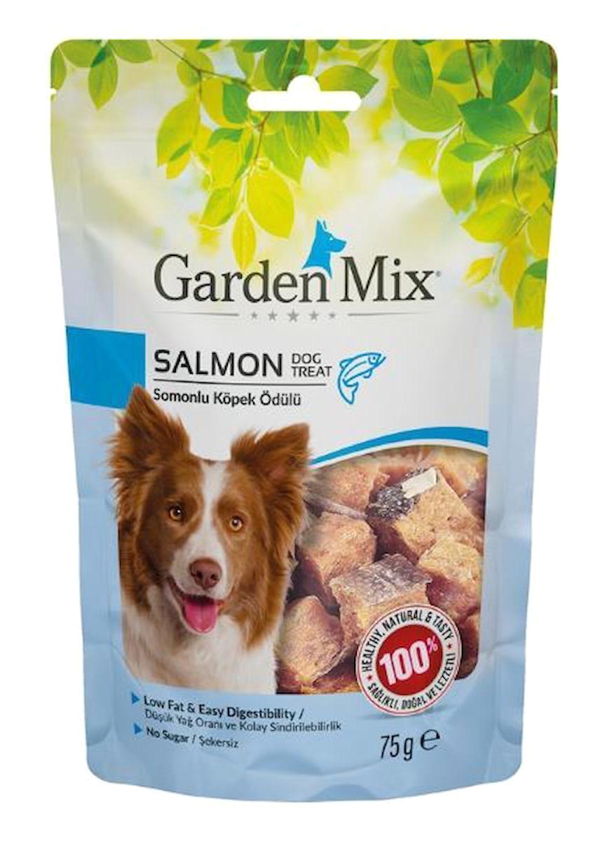 Garden Mix Düşük Yağlı Somonlu Tüm Irklar Yavru-Yetişkin Köpek Ödül Maması 75 gr