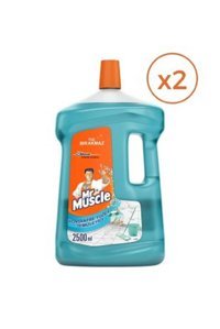 Mr. Muscle Okyanus Sessizliği Yüzey Temizleyici 2x2.5 lt