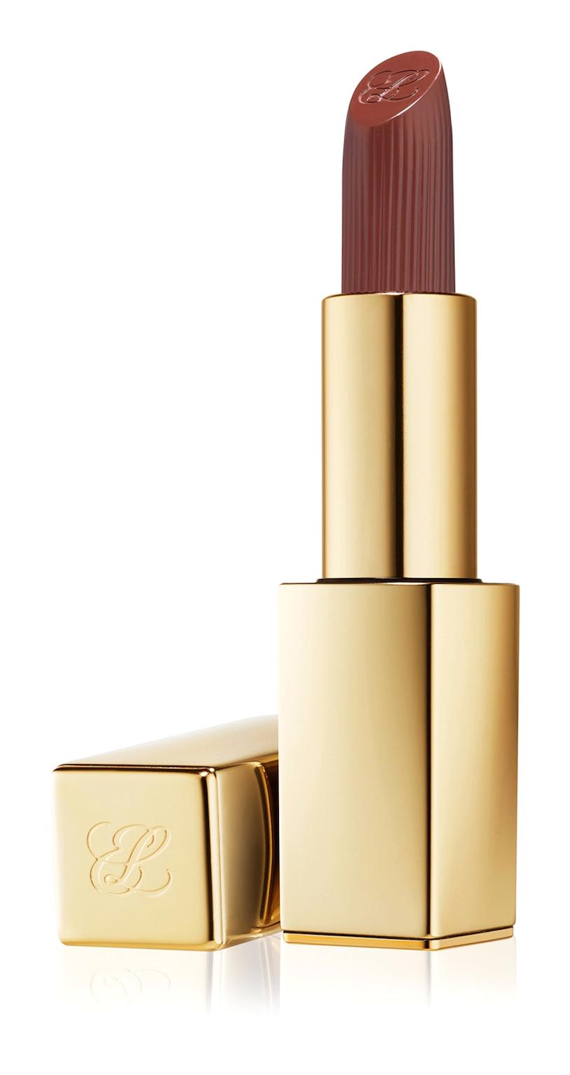 Estée Lauder Pure Color 567 Knowing Mat Krem Lipstick Ruj