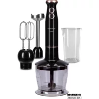 Goldmaster Bestblend 3 ın 1 800 ml Plastik Hazneli Turbolu 4'lü Blender Seti Siyah