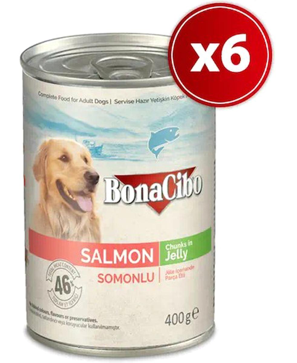 Bonacibo Somonlu Jöleli Yetişkin Yaş Köpek Maması 400 gr 6'lı