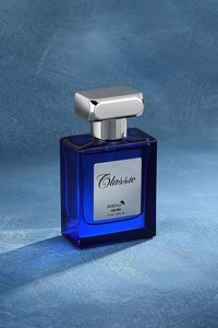 Polo Air Classic EDP Ferah-Odunsu Erkek Parfüm 55 ml