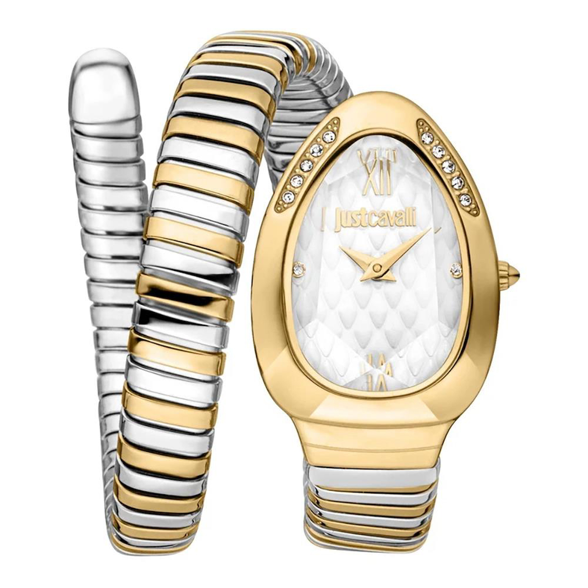 Just Cavalli JC1L223M0055 22 mm Altın-Gri Çelik Kordon Analog Kadın Kol Saati