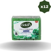 Dalan Meyve Şöleni Katı Sabun 48x75 gr