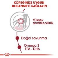 Royal Canin Medium Kümes Hayvanlı Parça Etli Yetişkin Köpek Maması 10 x 140 gr 10'lu