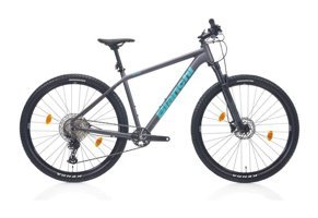 Bianchi Magma Comp 9.s 29 Jant 12 Vites Amortisörlü Dağ Bisikleti Gri-Mavi