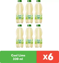 Pınar Cool Lime 330 ml x 6 Adet