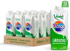 Pınar Denge Laktozsuz Pastörize Süt 12x500 ml