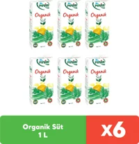 Pınar Organik Süt 6x1 lt