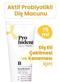 Probident Aktif Probiyotik Akgünlük Organik Florürsüz Tüm Yaşlar Diş Macunu 75 ml