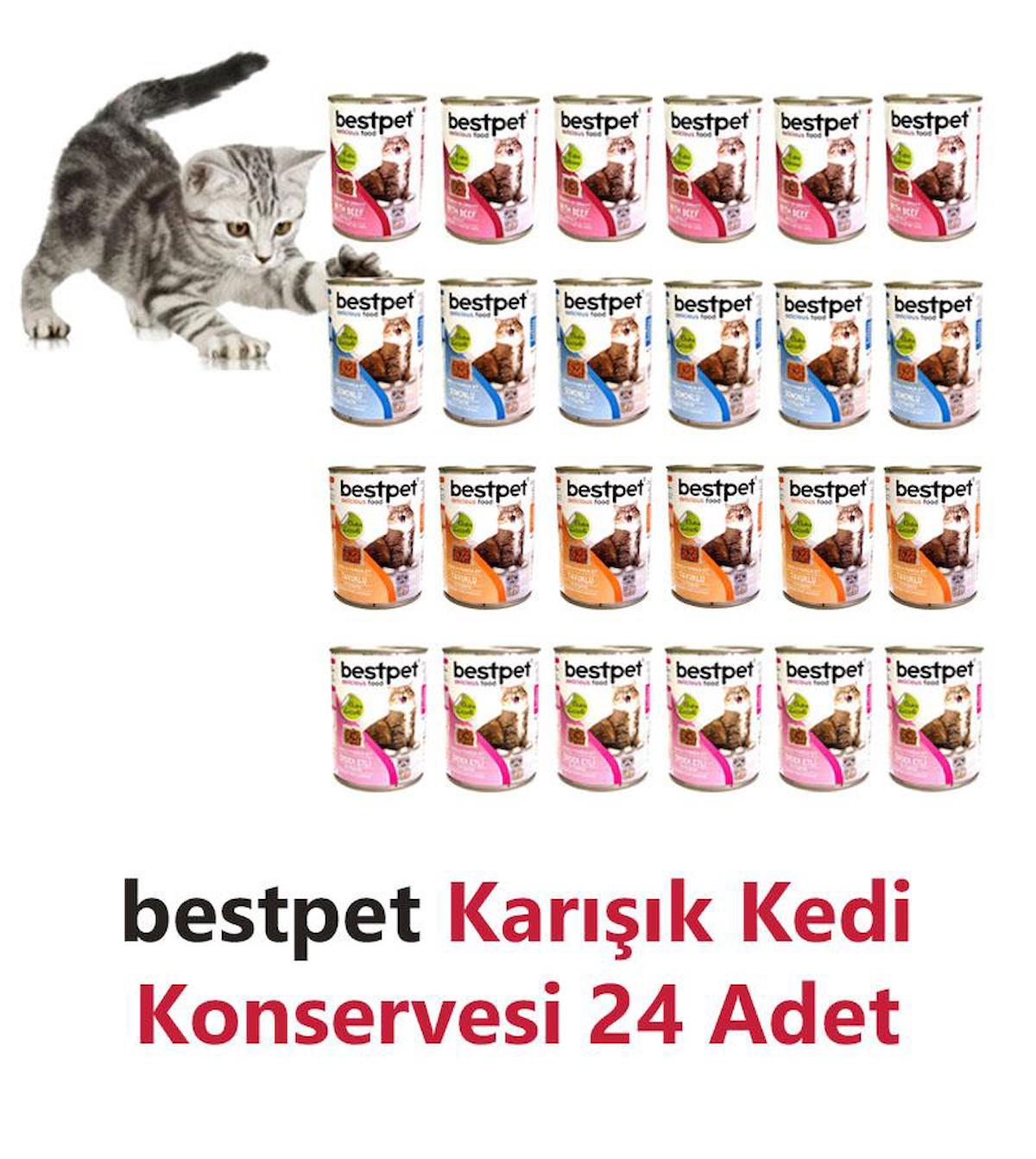 Bestpet Premium Karma Yetişkin Yaş Kedi Maması 24x415 gr