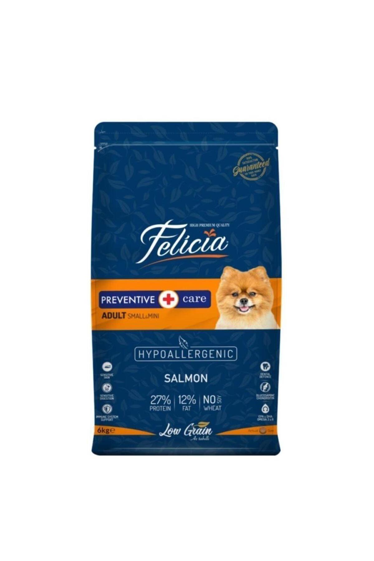 Felicia Preventive Care Somonlu Küçük ve Mini Irk Yetişkin Kuru Köpek Maması 6 kg