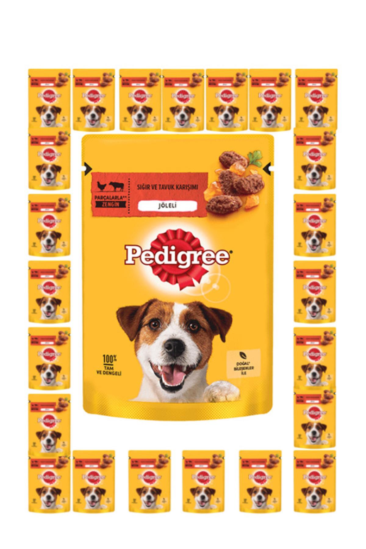 Pedigree Jöleli Sığır Etli ve Tavuklu Tüm Irklar Kuru Köpek Maması 24x100 gr