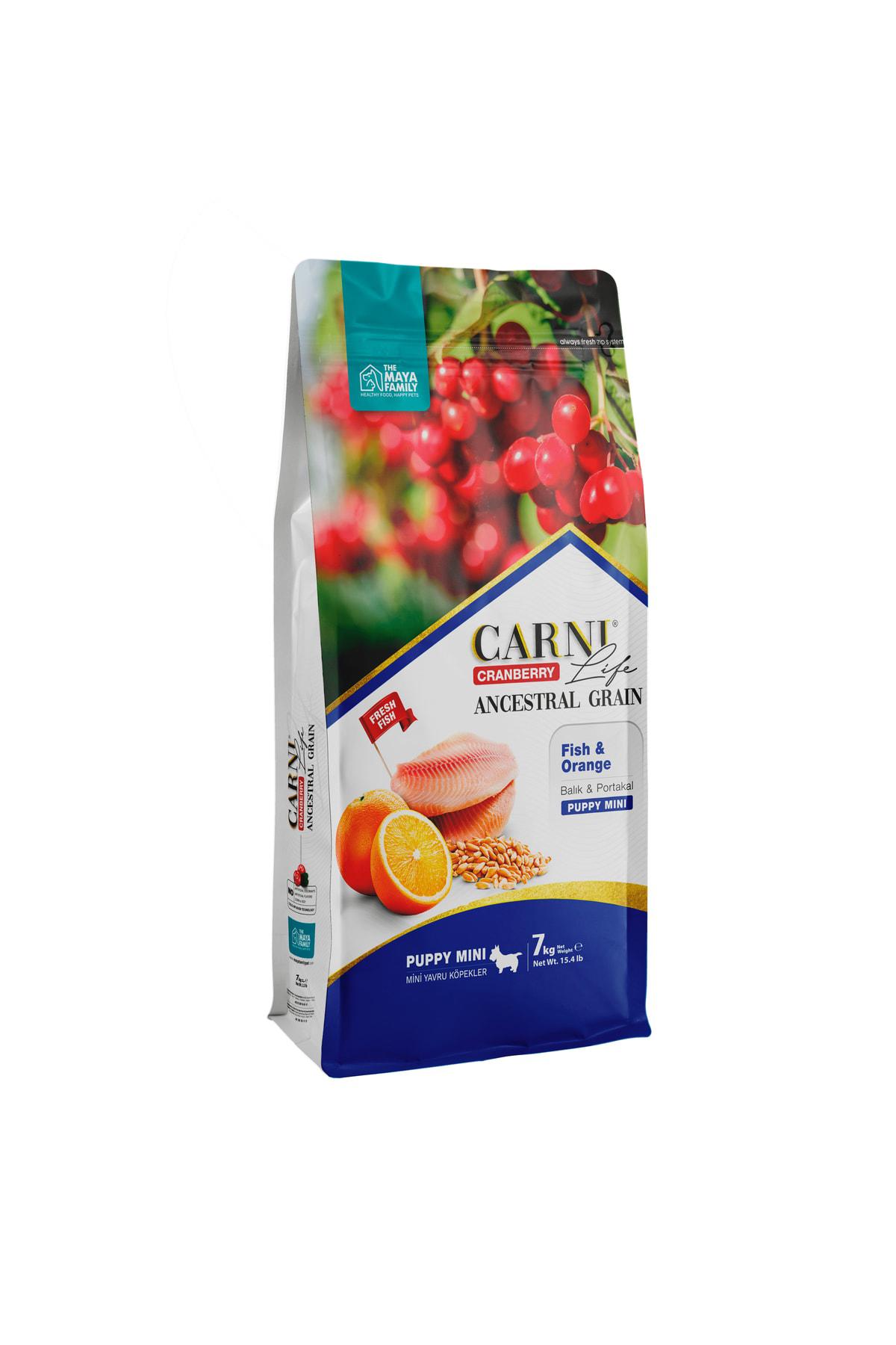 Carni Life Cranberry Balıklı ve Portakallı Mini Irk Yavru Kuru Köpek Maması 7 kg