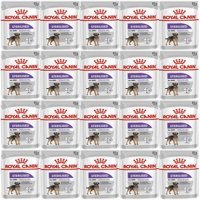 Royal Canin Sterilised Yetişkin Yaş Köpek Maması 85 gr 20'li