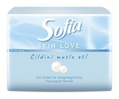 Sofia Skin Love Mini Mendil 75'li