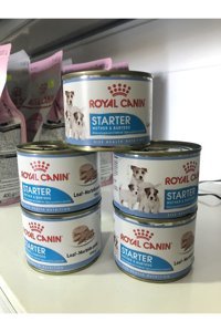 Royal Canin Starter Mother&Babydog Mousse Kümes Hayvanlı Yaş Köpek Maması 195 gr 5'li