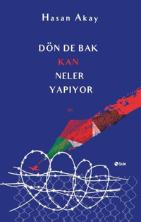 Dön de Bak Kan Neler Yapıyor Hasan Akay Şule Yayınları