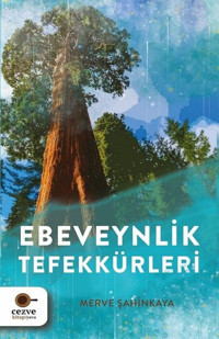 Ebeveynlik Tefekkürleri Merve Şahinkaya Cezve Kitap