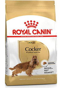 Royal Canin Aromasız Büyük Irk Yetişkin Köpek Maması 3 Kg