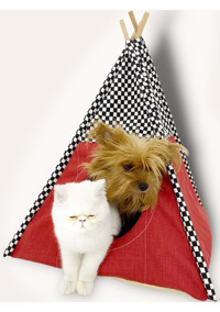 Kemique Tepee TwentyTwo 56 x 42 cm Üstü Kapalı Kedi Yatağı Siyah - Yeşil