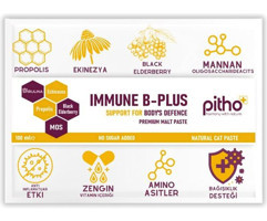 Pitho Immune B-Plus C Vitamini E Vitamini Bağışıklık Güçlendirici Yetişkin Kedi Vitamini Macun 100 ml