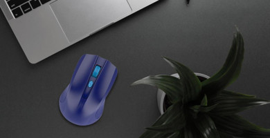 Blic BWM5 Ergonomik Kablosuz Mavi Optik Mouse