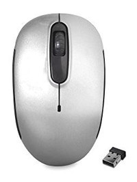 Everest SMW-666 Kablosuz Gri Optik Mouse