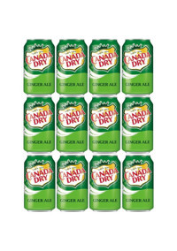 Canada Dry Ginger Ale Zencefilli Kutu Gazoz 12 Adet 330 ml