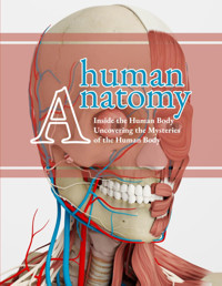 Human Anatomy: Inside The Human Body Uncovering The Mysteries Of The Human Anatomy Unlocked, Anatomy Independently Publıshed