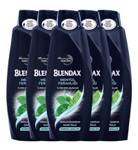 Blendax Onarıcı Düz Saçlar İçin Mentollü Kremsiz Şampuan Erkek Şampuanı 5x550 ml