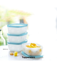 Tupperware Alaska Dikdörtgen Plastik Saklama Kabı 4x450 ml