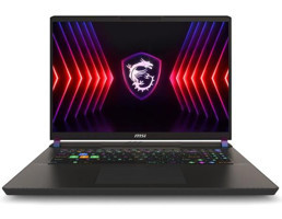 MSI Vector 17 HX A14VHG-838XTR Harici GeForce RTX 4080 Intel Core i9 14900HX 32 GB Ram 2 TB SSD 17 inç QHD FreeDos Oyuncu Laptop