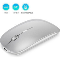 Huahai Kablosuz Gümüş Optik Mouse