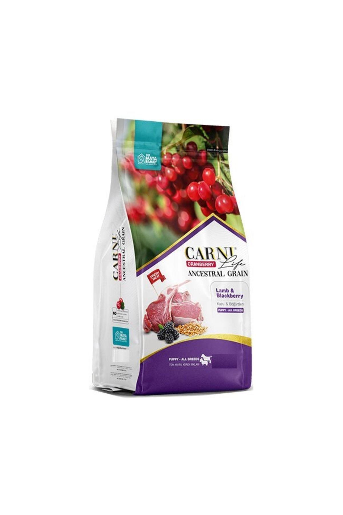 Carni Life Cranberry Böğürtlenli ve Kuzu Etli Tüm Irklar Yavru Kuru Köpek Maması 12 kg