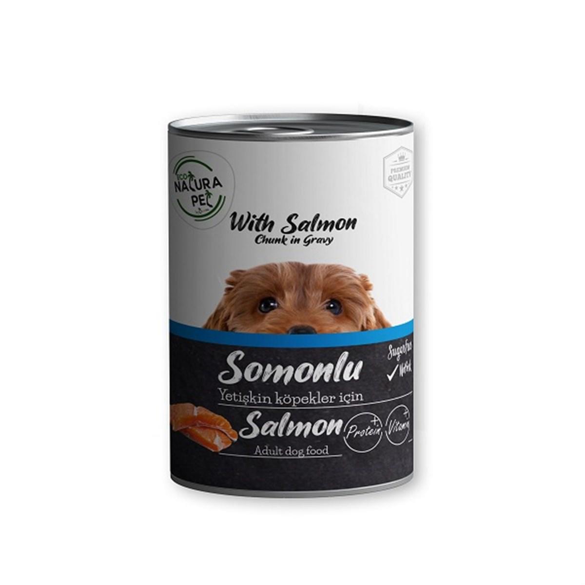 Natura Pet Somonlu Somonlu Yetişkin Yaş Köpek Maması 400 gr Tekli