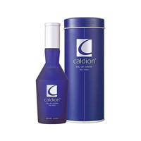 Caldion EDT Çiçeksi Erkek Parfüm 100 ml