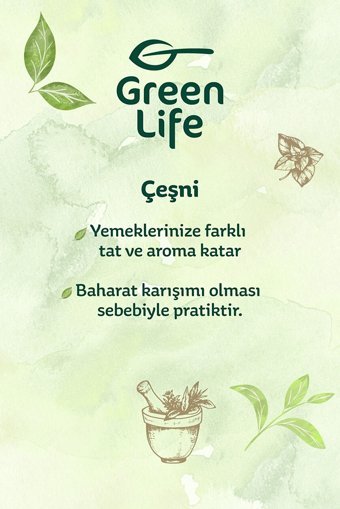 Green Life Kajun Çeşnisi 75 gr