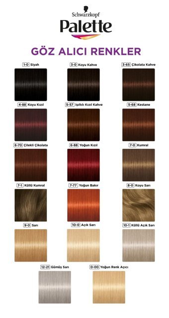 Palette 1.0 Siyah Krem Saç Boyası