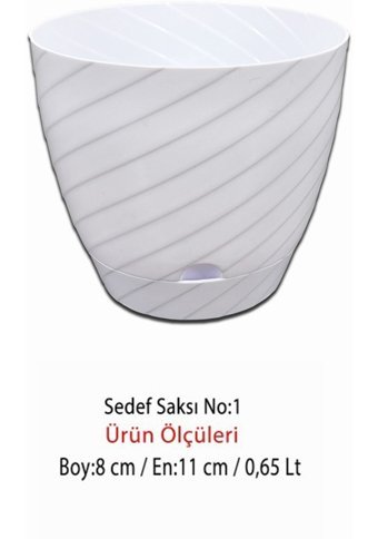 Montesev Sedef Çiçek 0.65 lt Saksı Beyaz