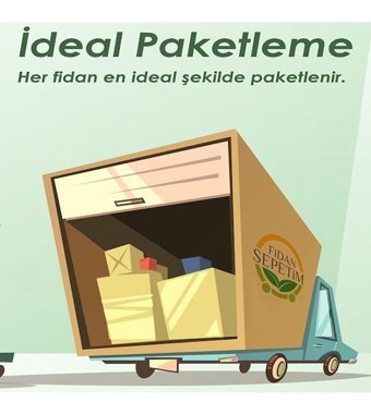 Fidansepetim Yakut Saksı 33 lt Kirli Beyaz Renk Parlak