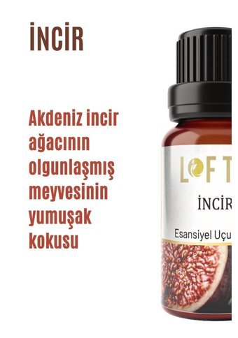 Lofty İncir Oda Kokusu 10 ml